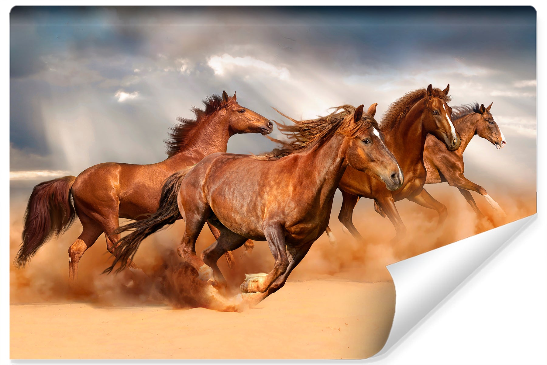 Fototapet Hester Som Løper I Ørkenen