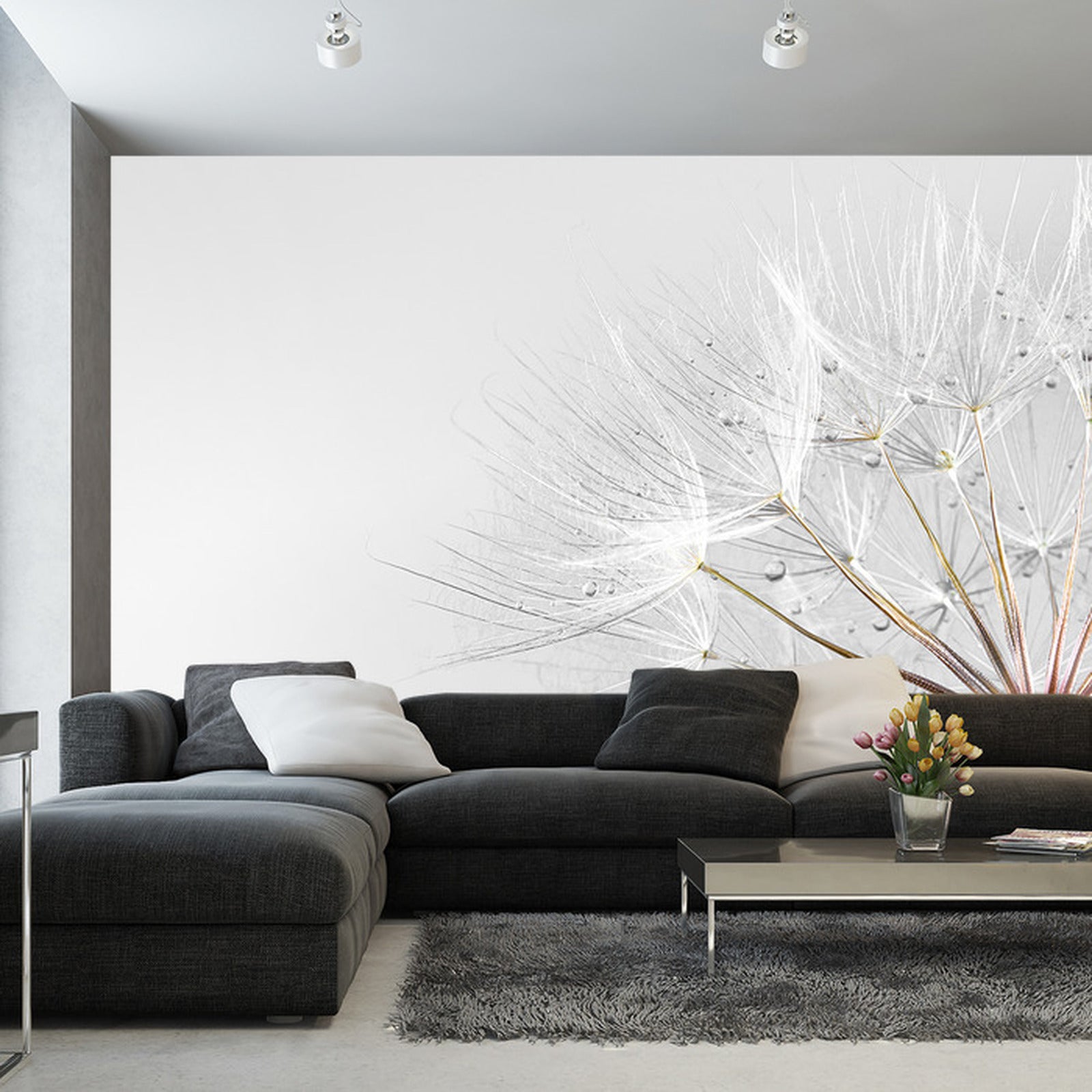 Fototapet Løvetann Dråper