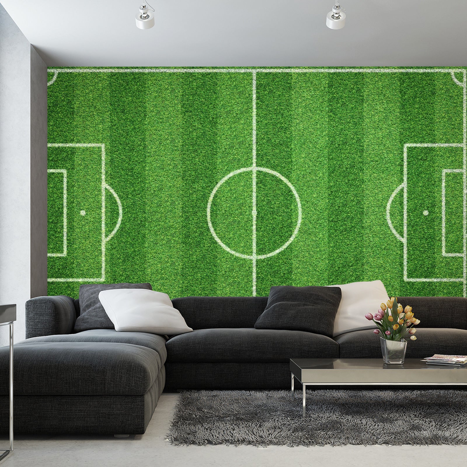 Fototapet Stadion Luftfoto