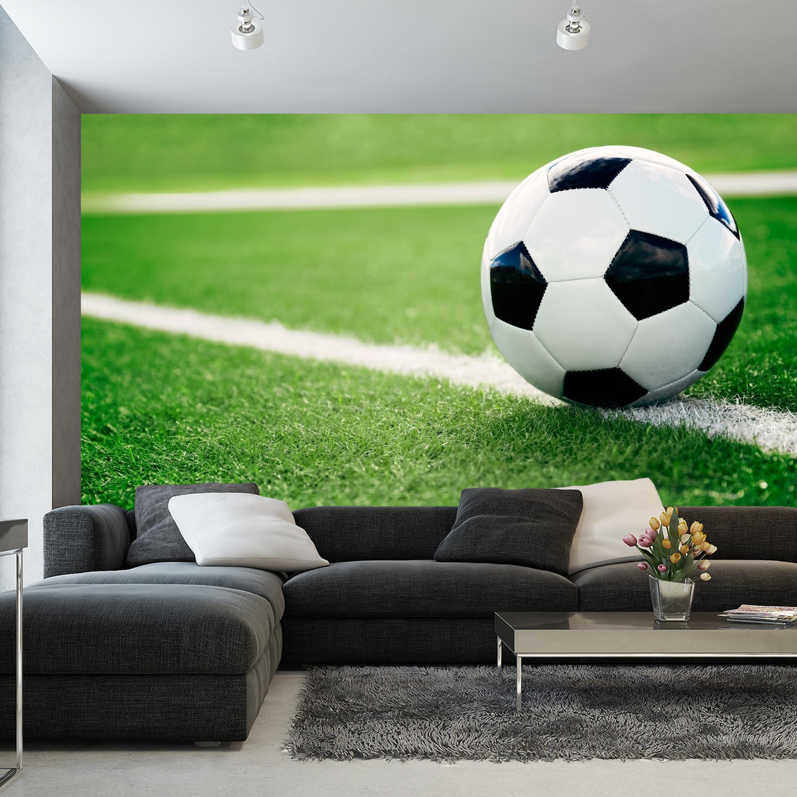 Fototapet Fotball På Linjen