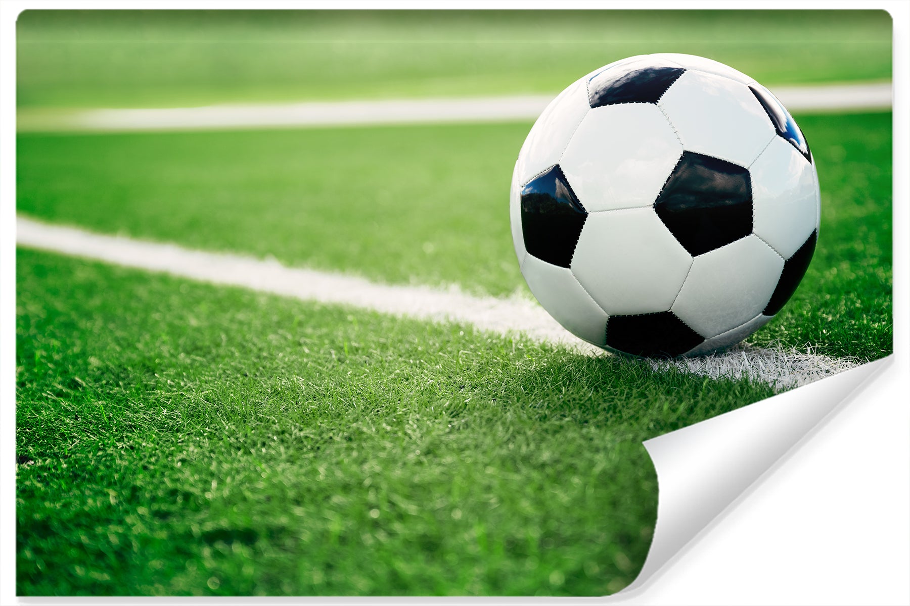 Fototapet Fotball På Linjen