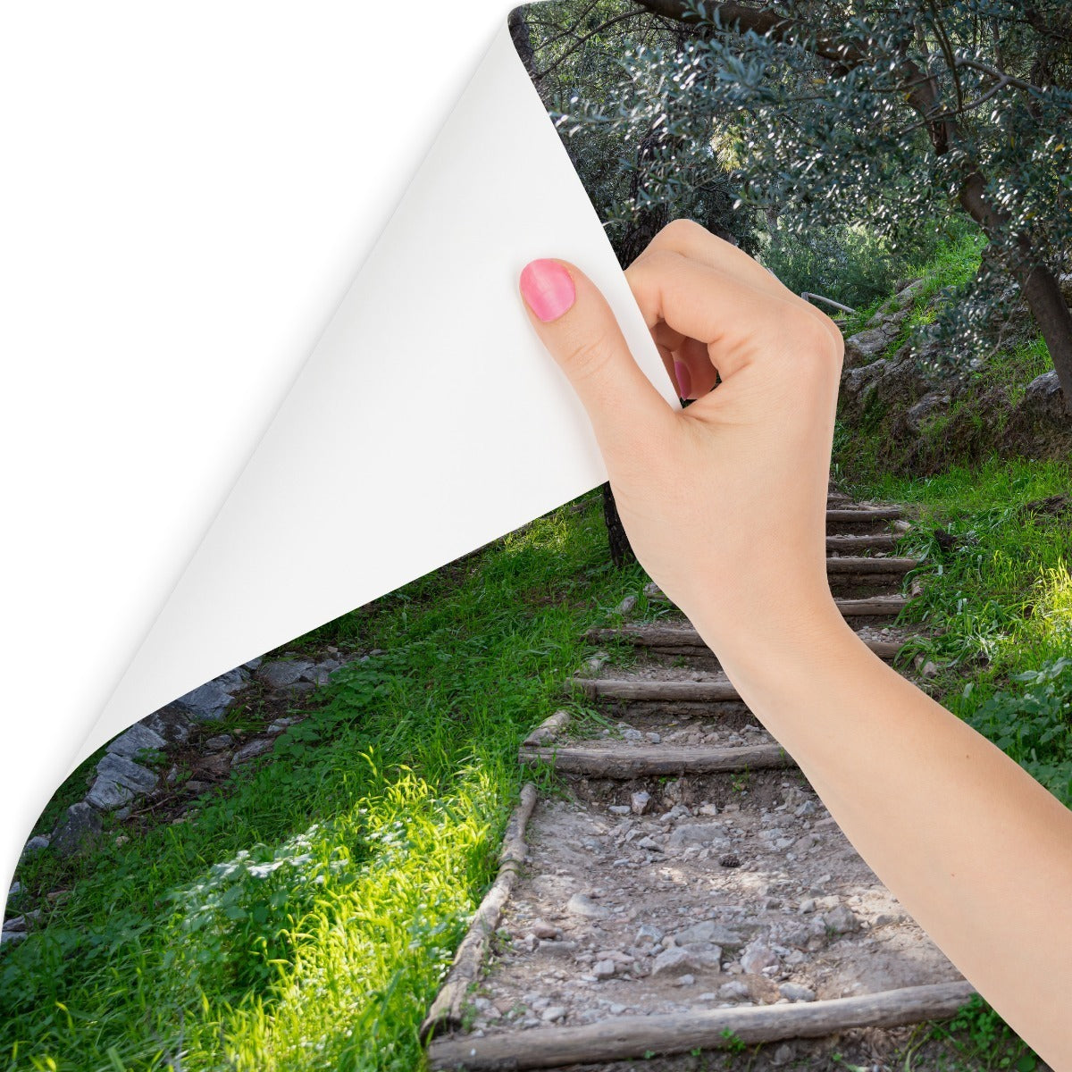 Fototapet Stairway In The Woods 3D