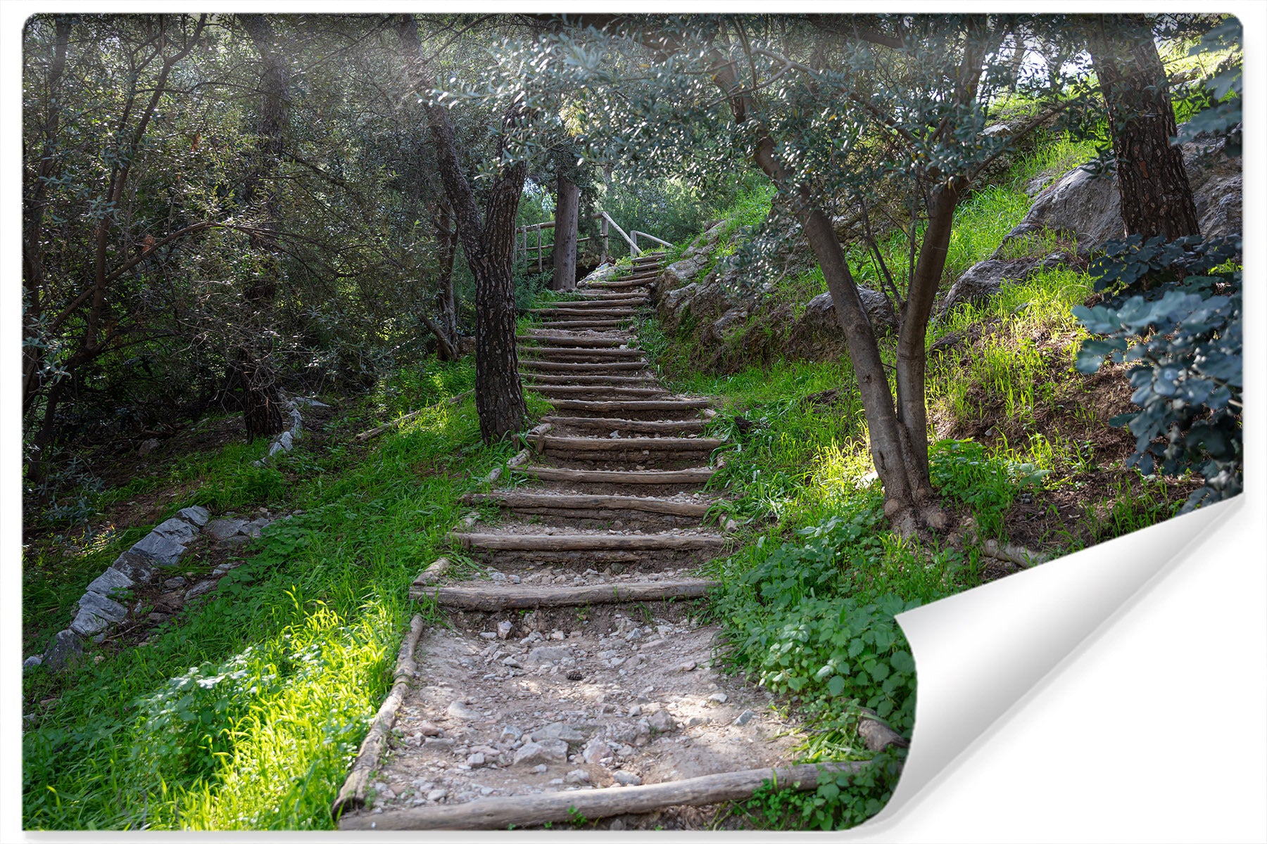 Fototapet Stairway In The Woods 3D