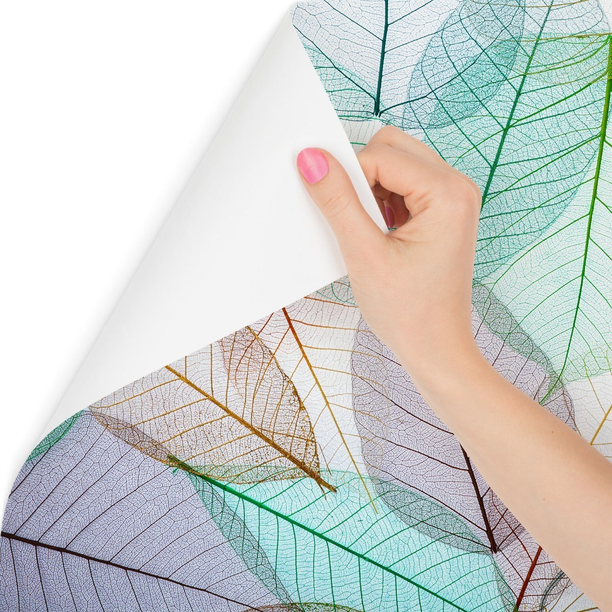 Fototapet Fargerike Gjennomskinnelige Blader