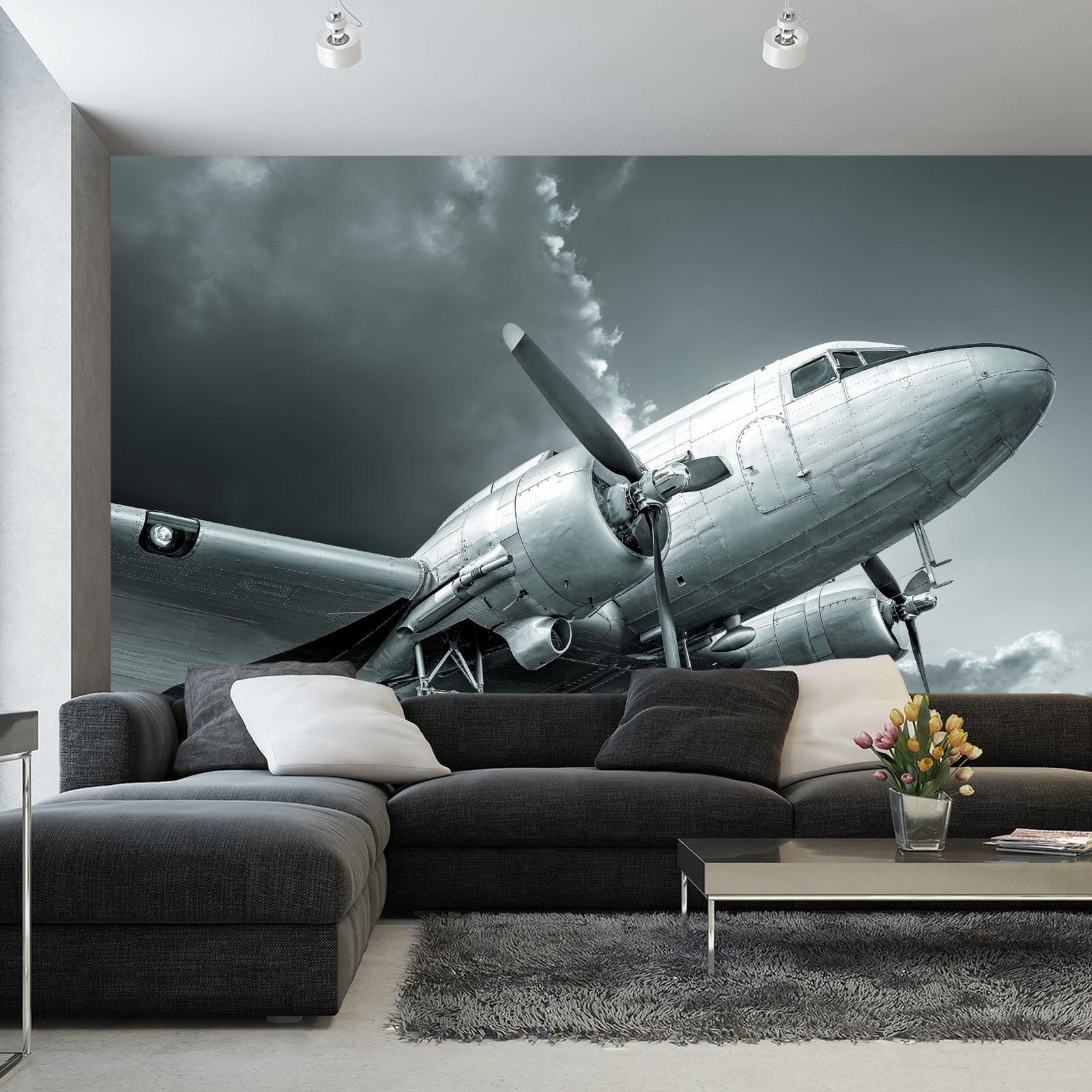 Fototapet Propellfly