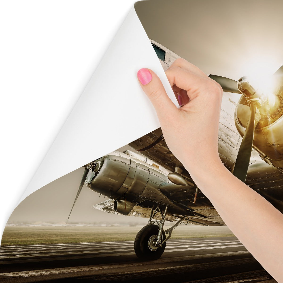 Fototapet Antikke Fly Ved Solnedgang