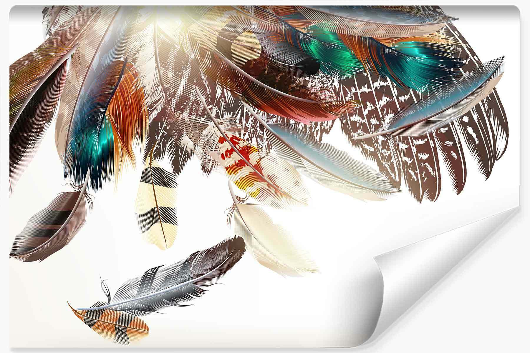 Fototapet Fjær I Boho-Stil