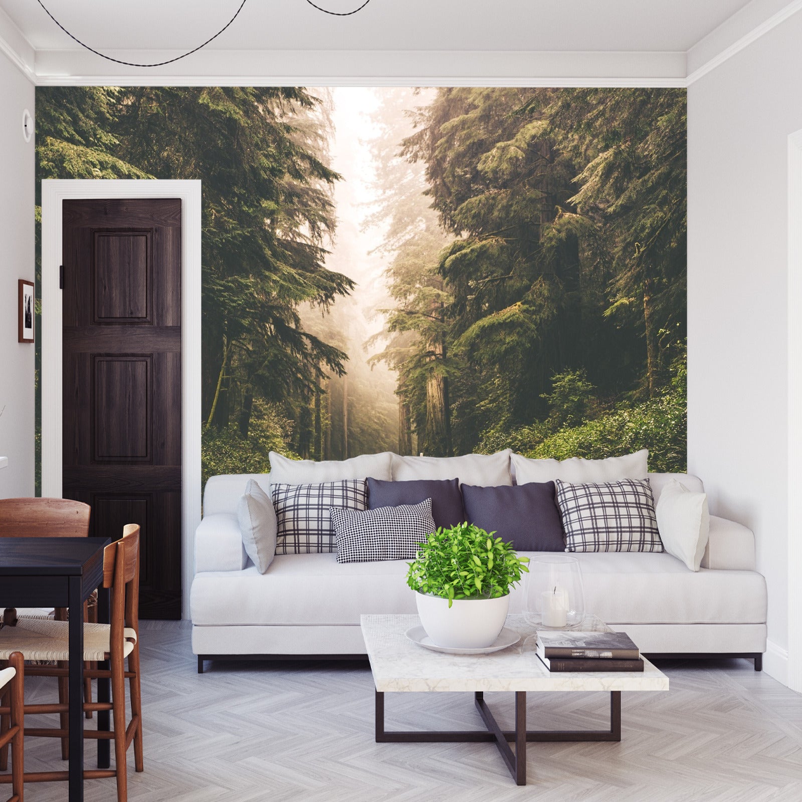 Fototapet Vei I En Amerikansk Skog