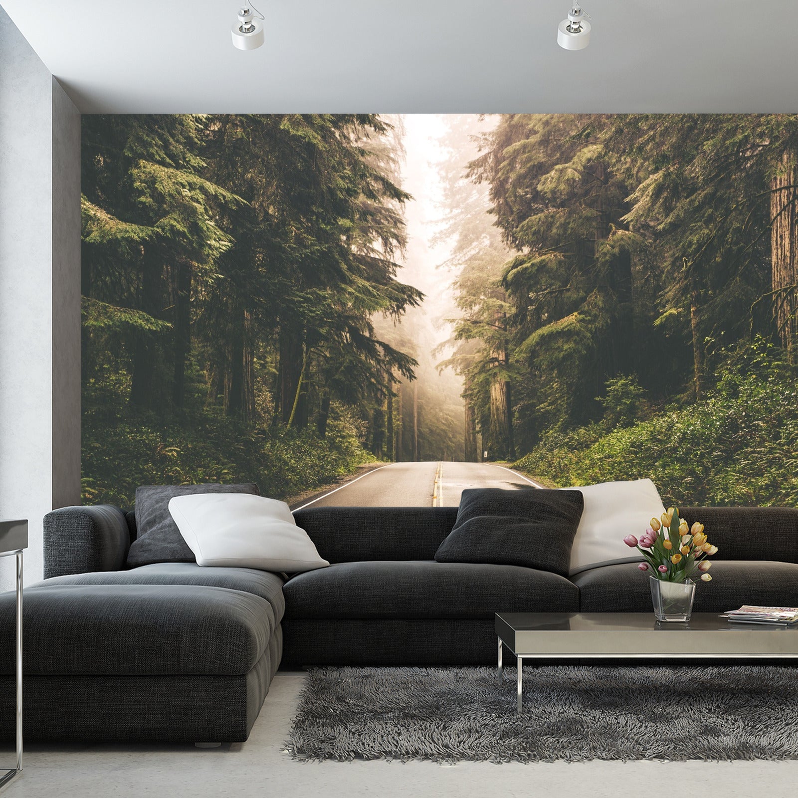 Fototapet Vei I En Amerikansk Skog