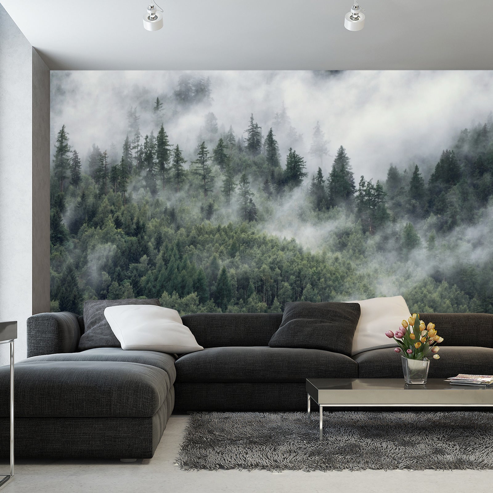 Fototapet Skog I Morgentåken