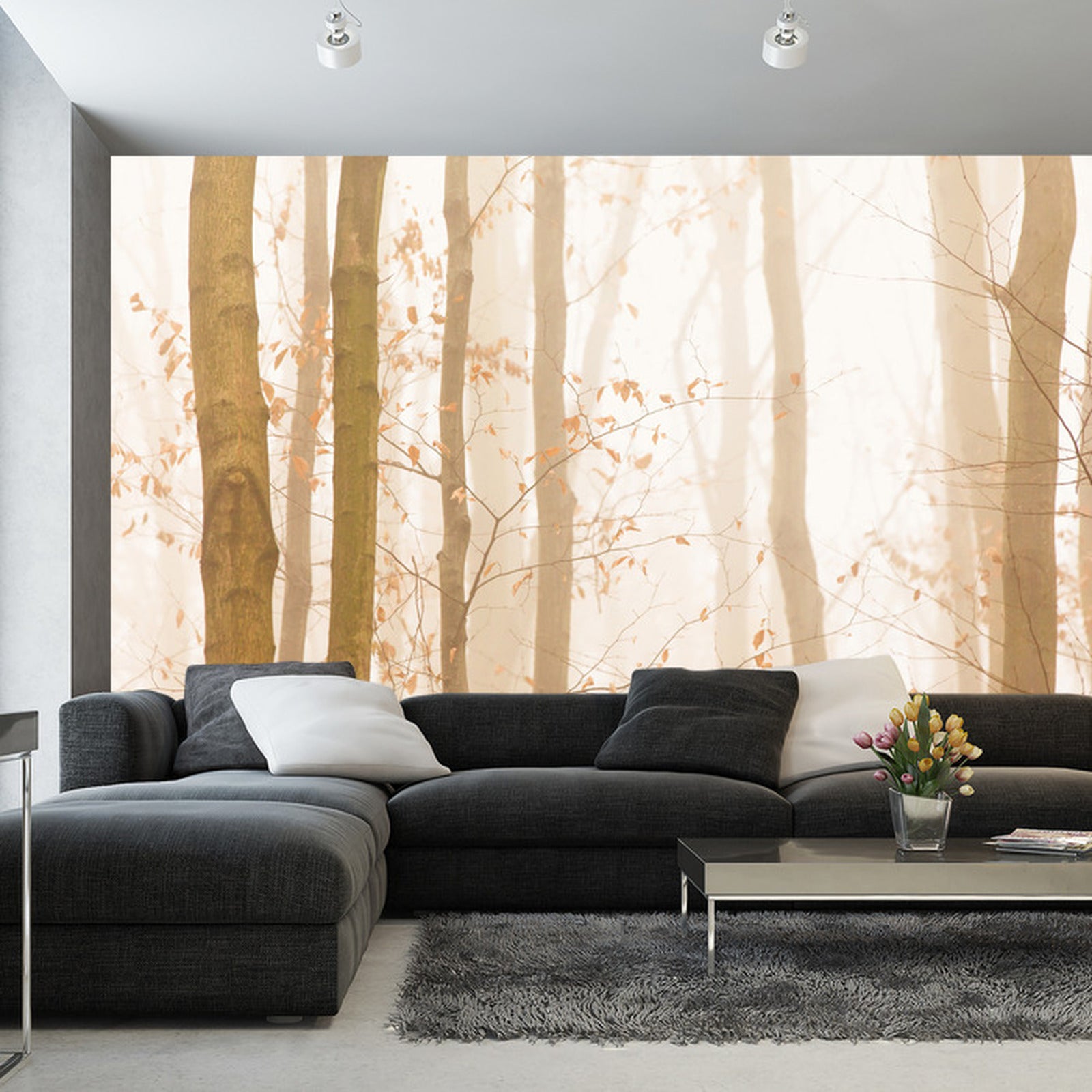 Fototapet Skog I Tåke