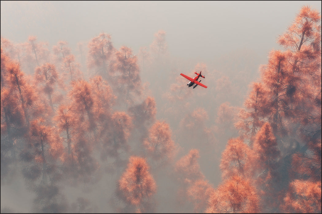Fototapet Skog I Tåke