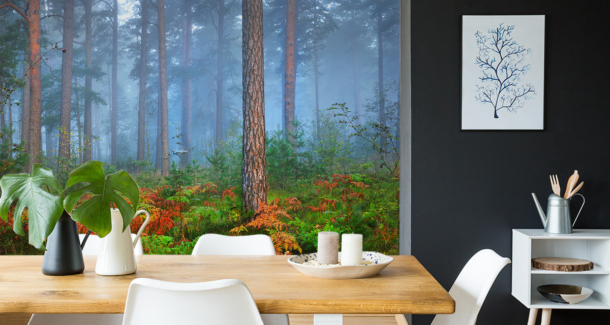 Fototapet Skog I Tåke