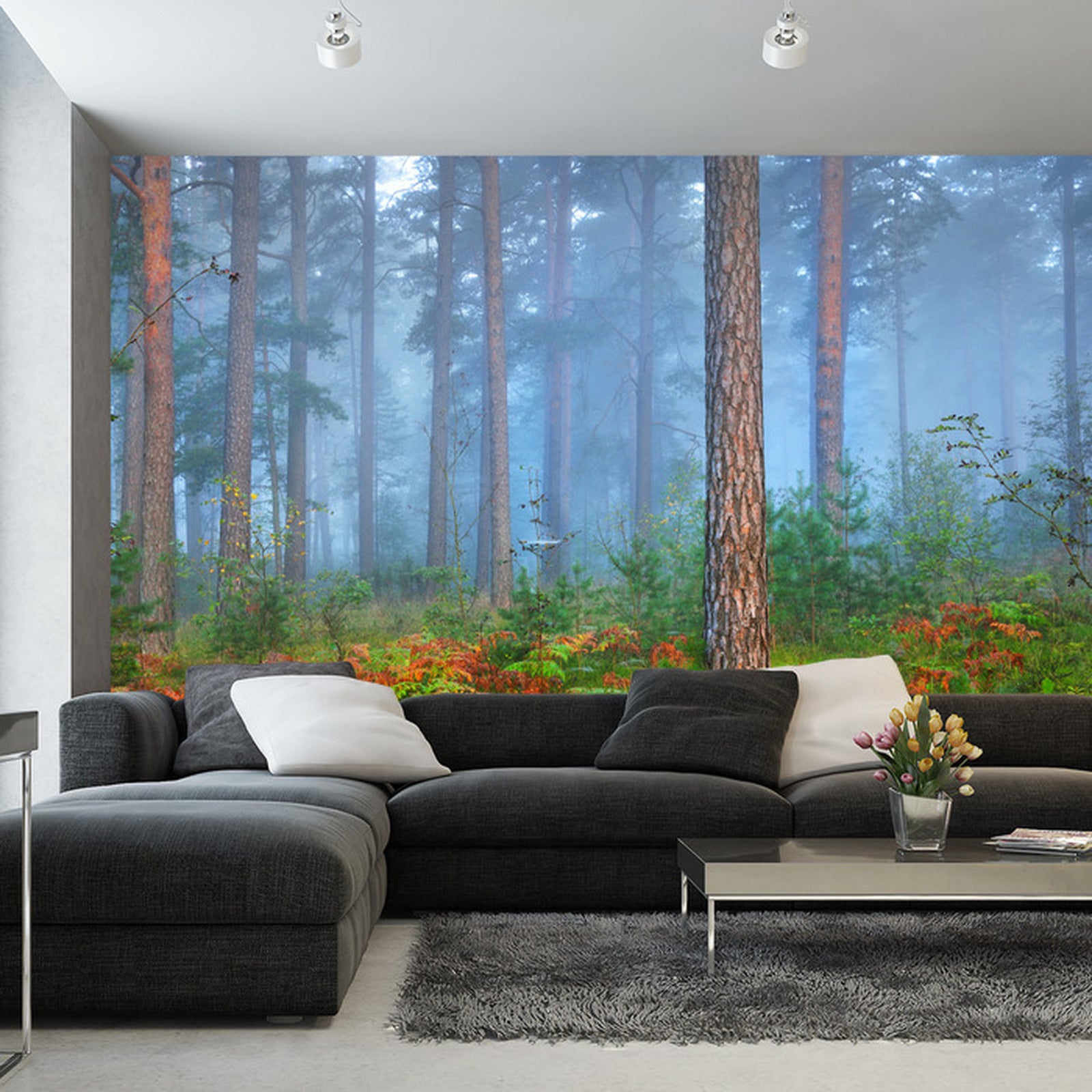 Fototapet Skog I Tåke