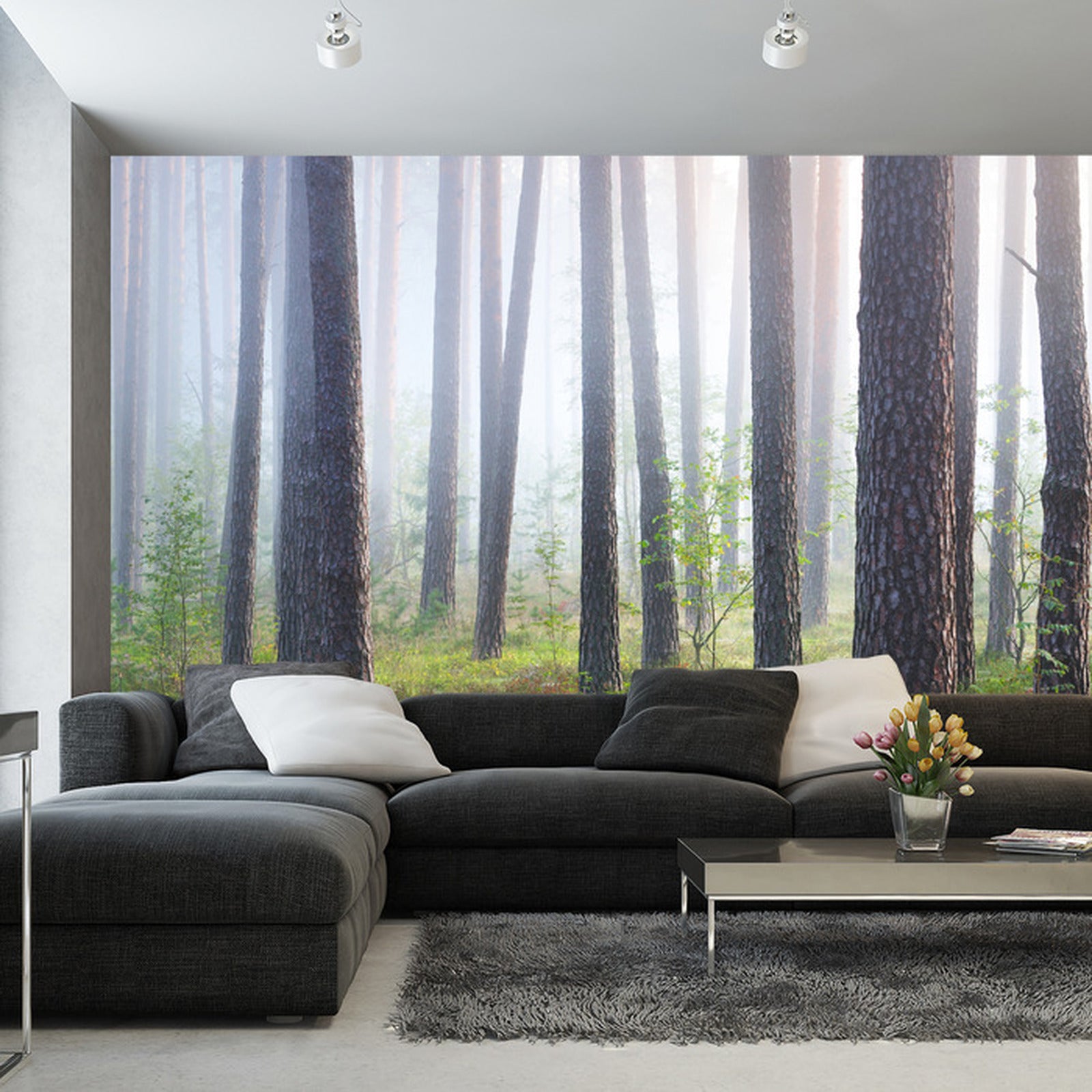 Fototapet Skog I Tåke