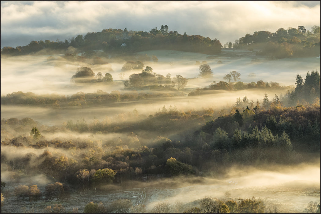 Fototapet Skog og åker