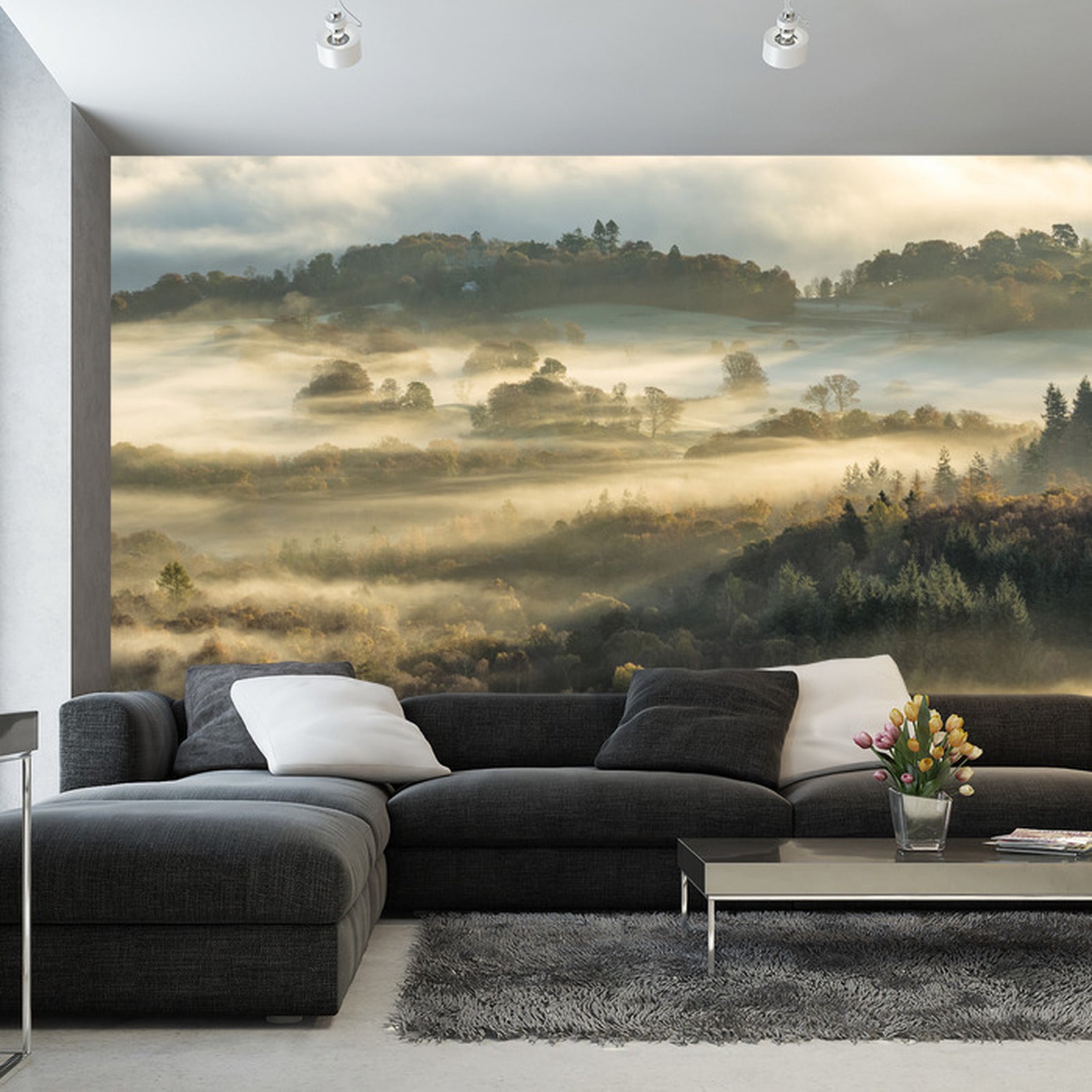 Fototapet Skog og åker