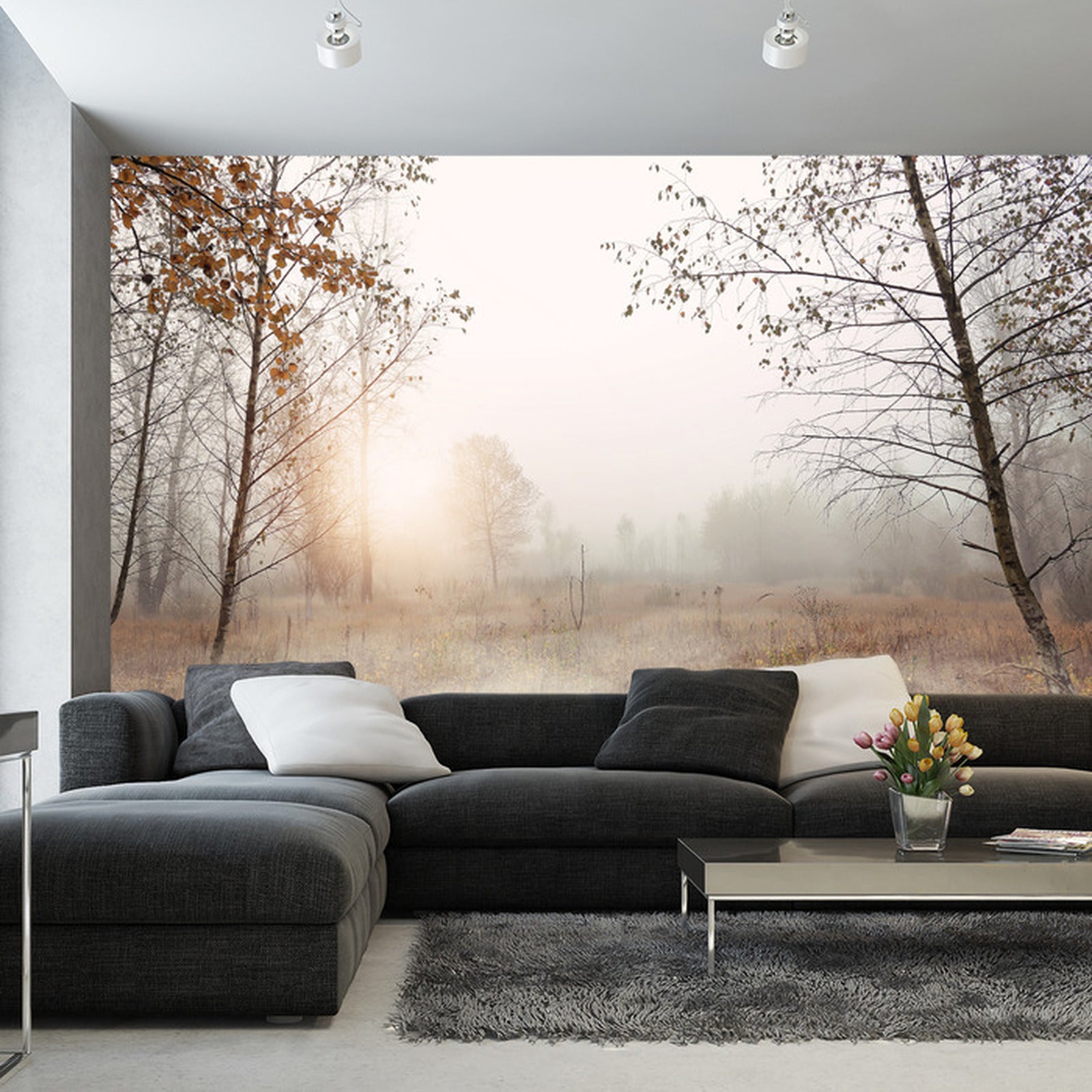 Fototapet Skog I Tåke