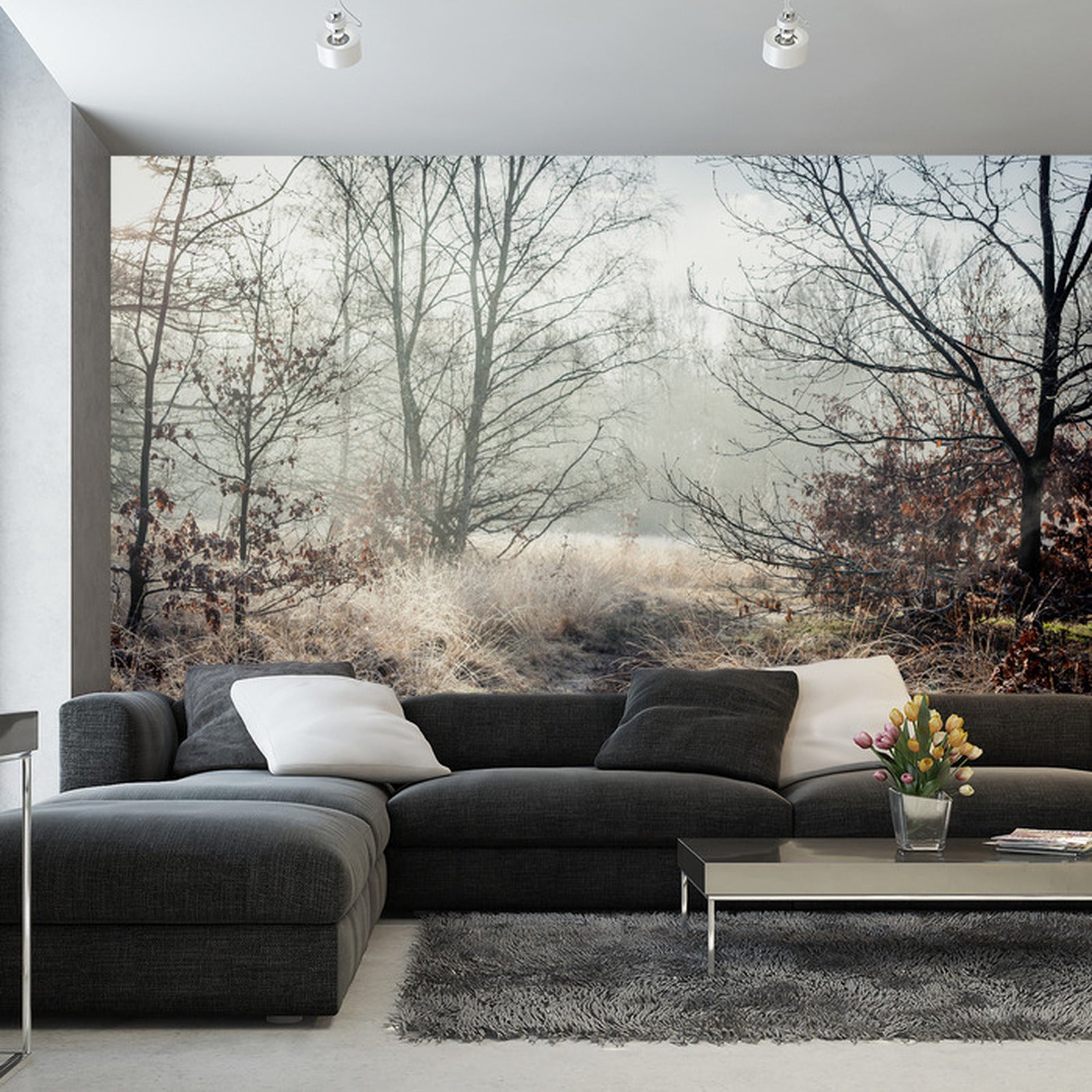 Fototapet Skog I Tåke