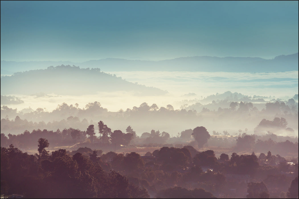 Fototapet Skog I Tåke