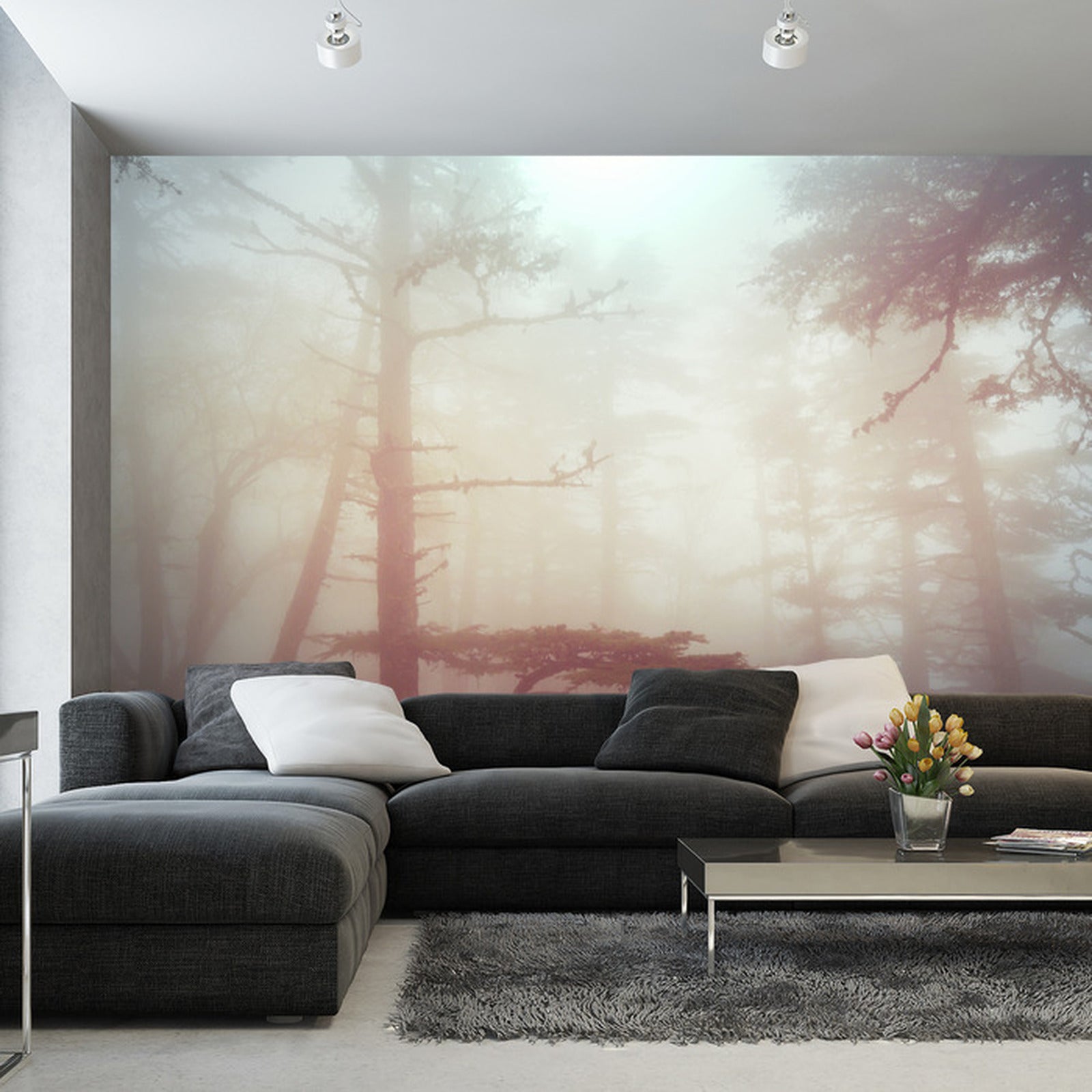 Fototapet Skog I Tåke