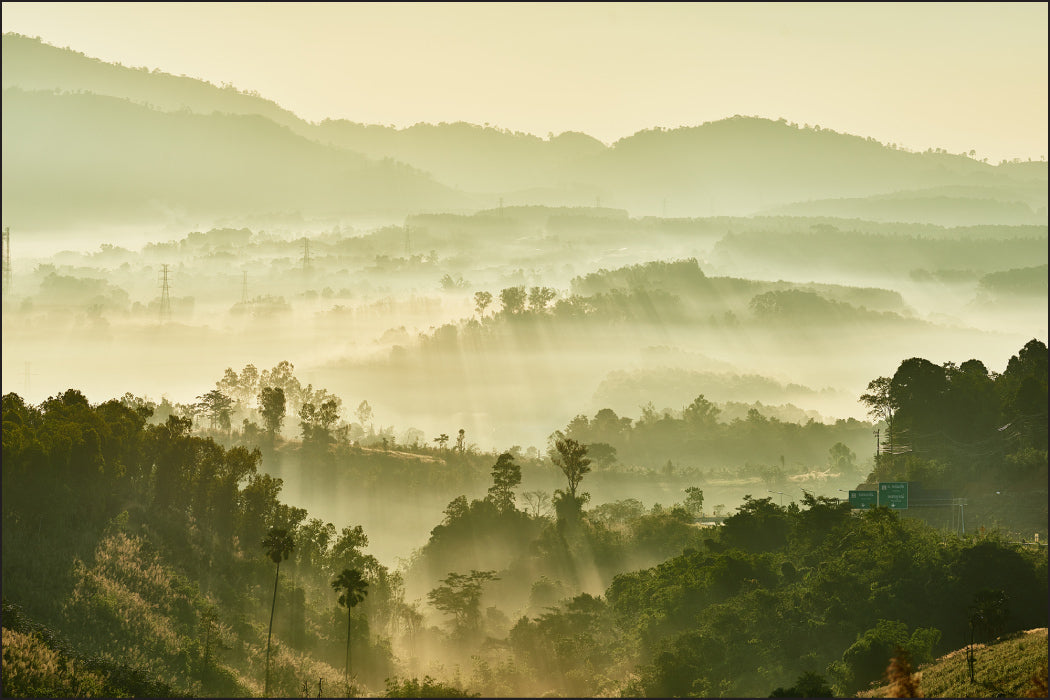 Fototapet Skog I Tåke