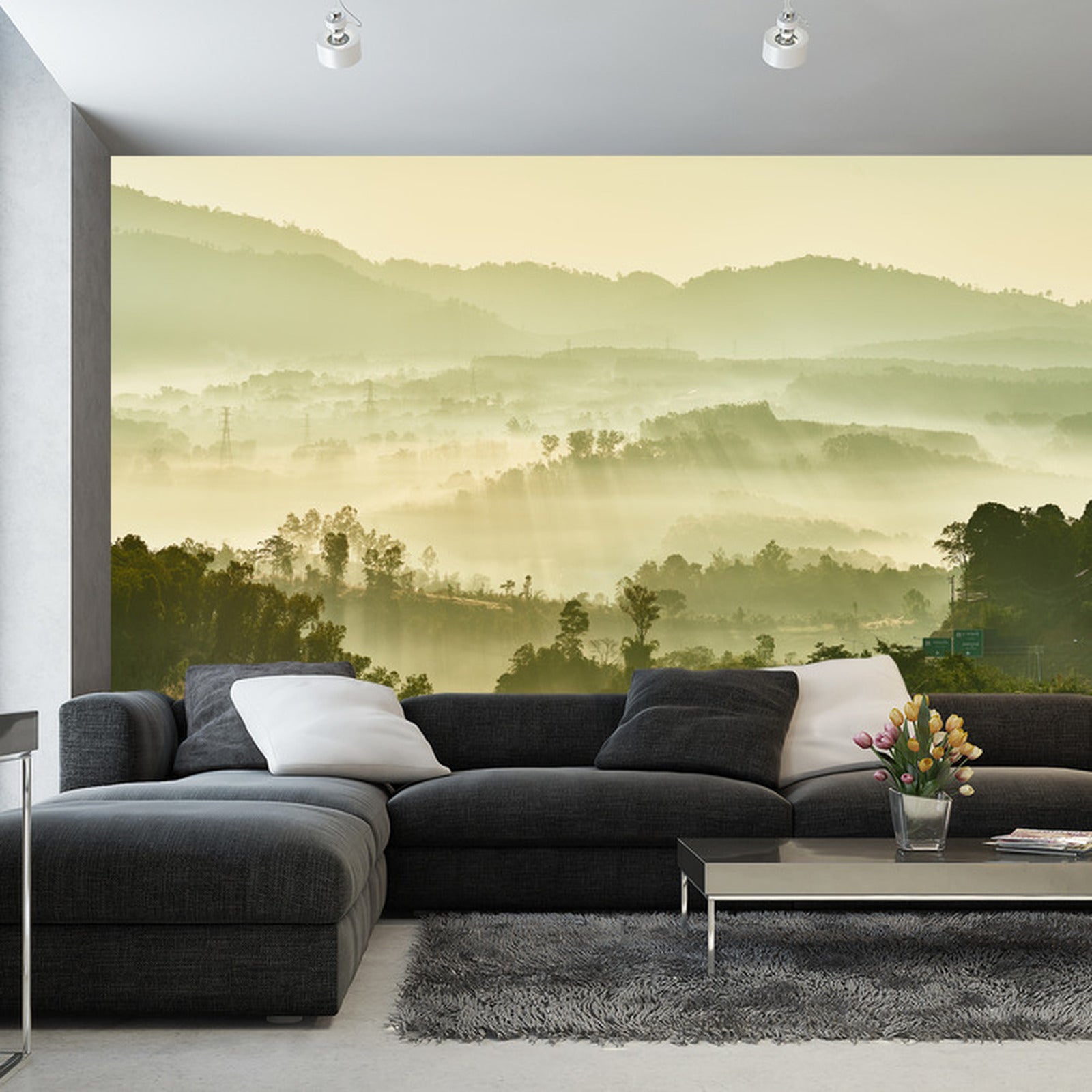 Fototapet Skog I Tåke