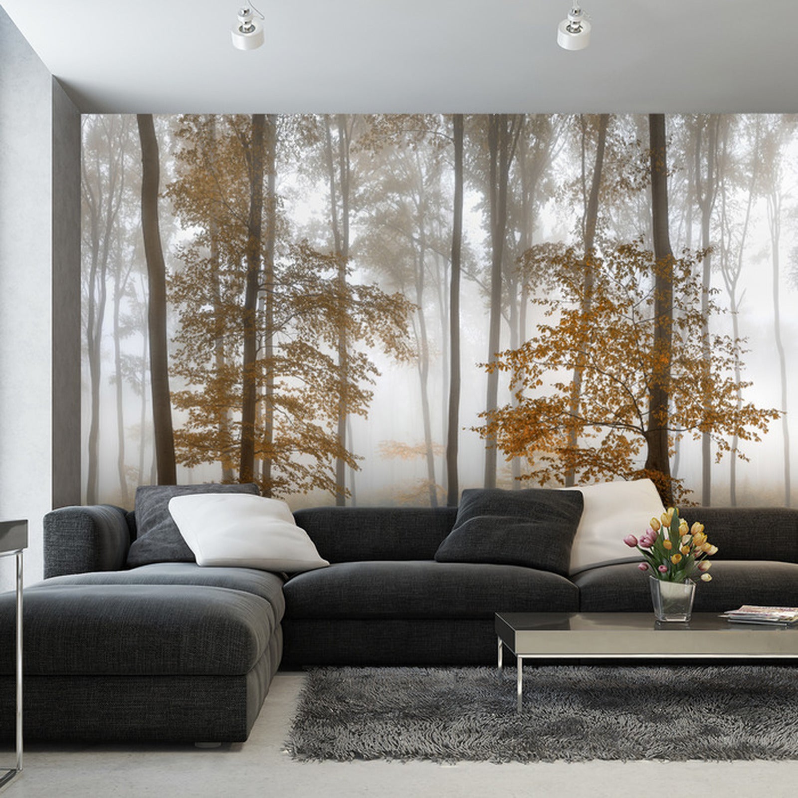 Fototapet Høstskog i tåke 6