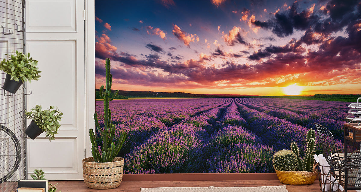 Fototapet blomsterslette solnedgang