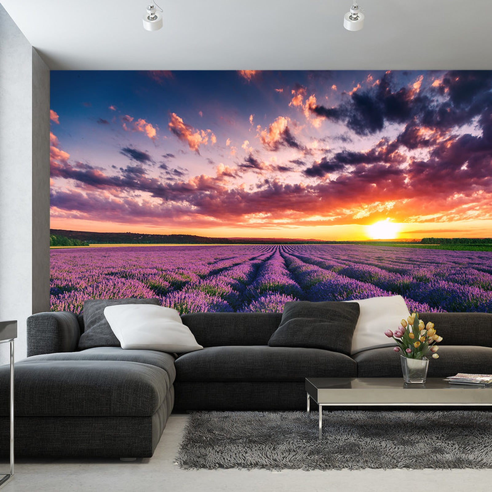 Fototapet blomsterslette solnedgang