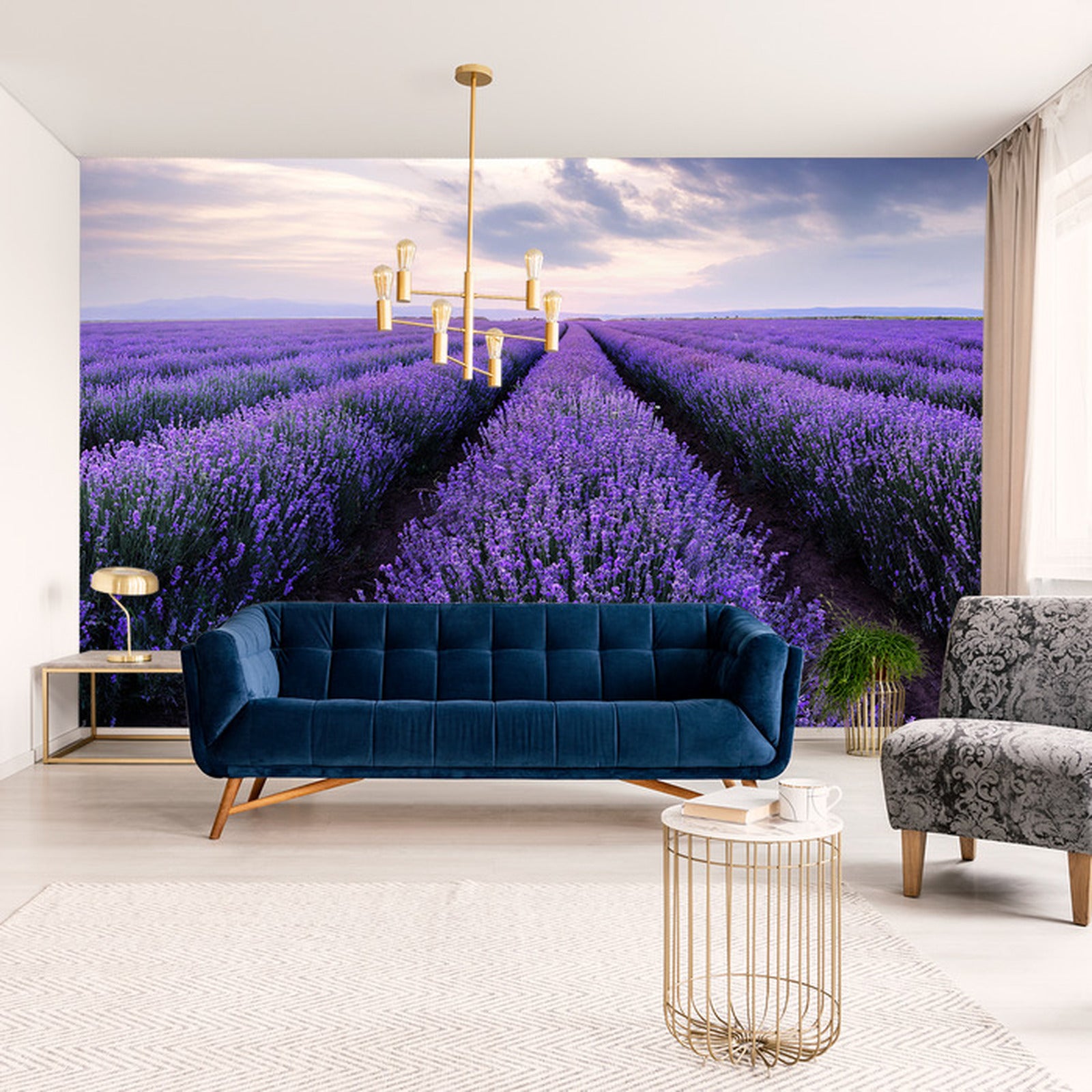 Fototapet lavendel-blomster