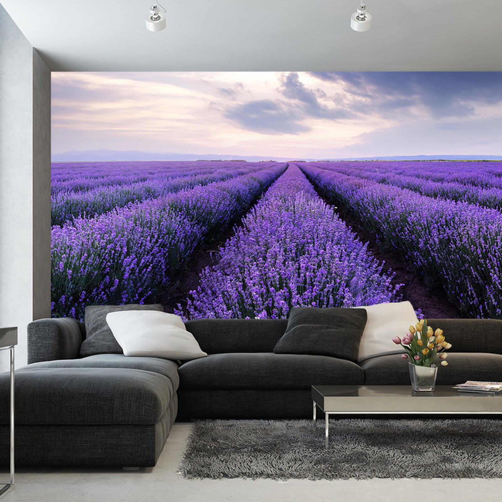 Fototapet lavendel-blomster