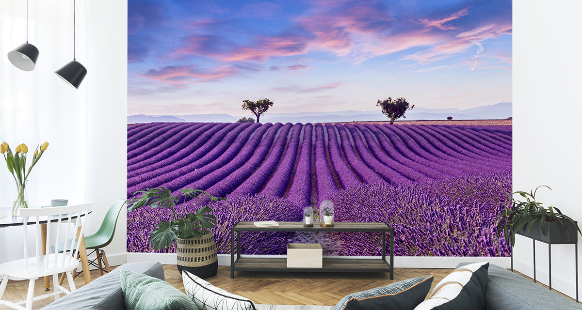 Fototapet Lavendelslette