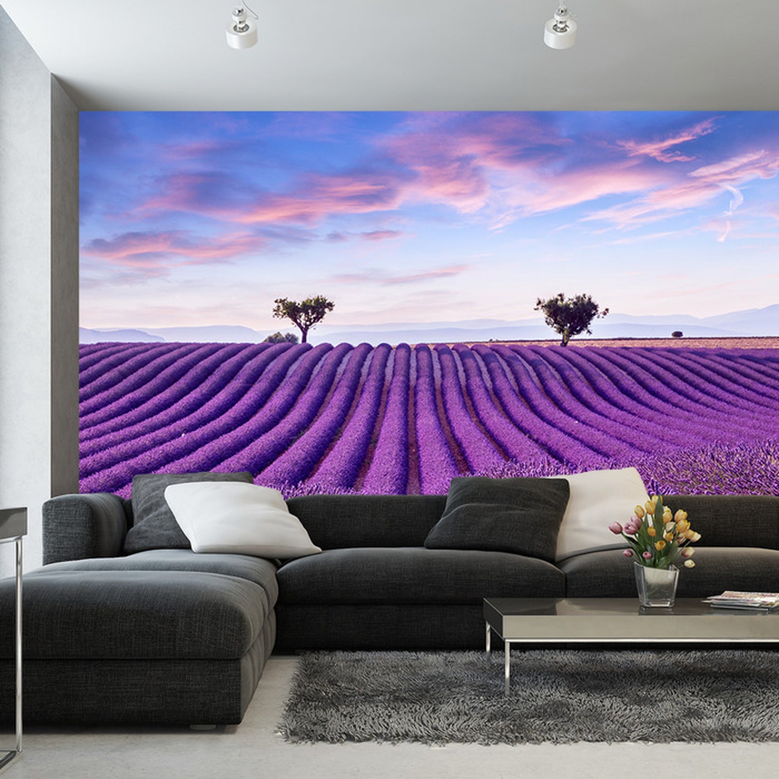 Fototapet Lavendelslette