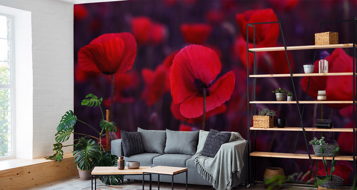 Fototapet Ville Røde Valmuer