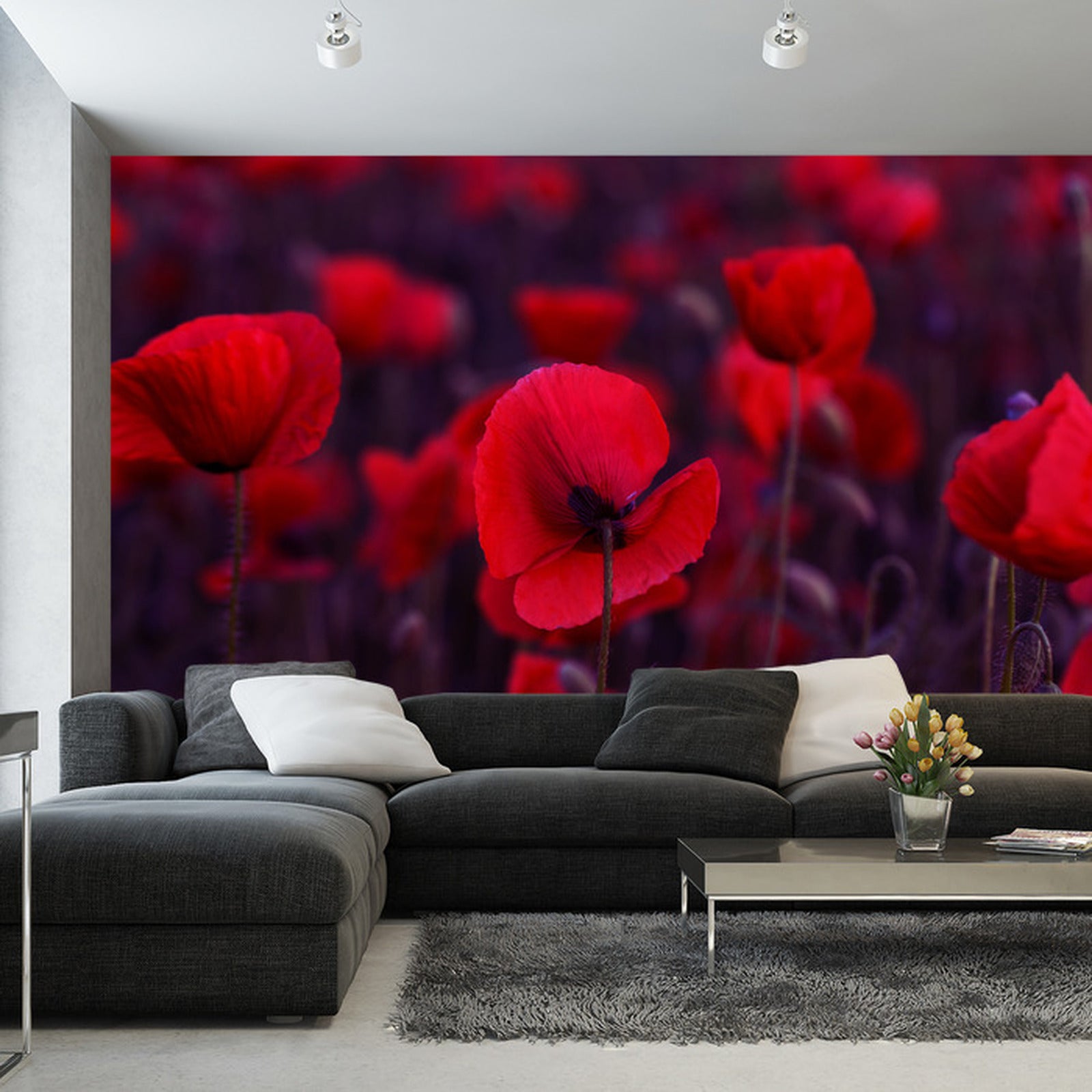 Fototapet Ville Røde Valmuer