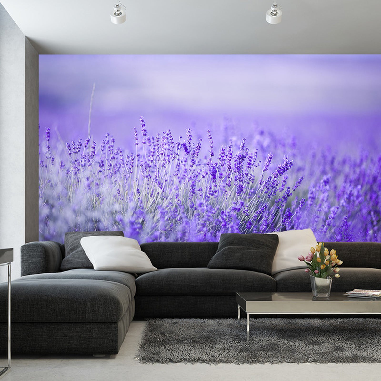 Fototapet Lavendel-blomster 6