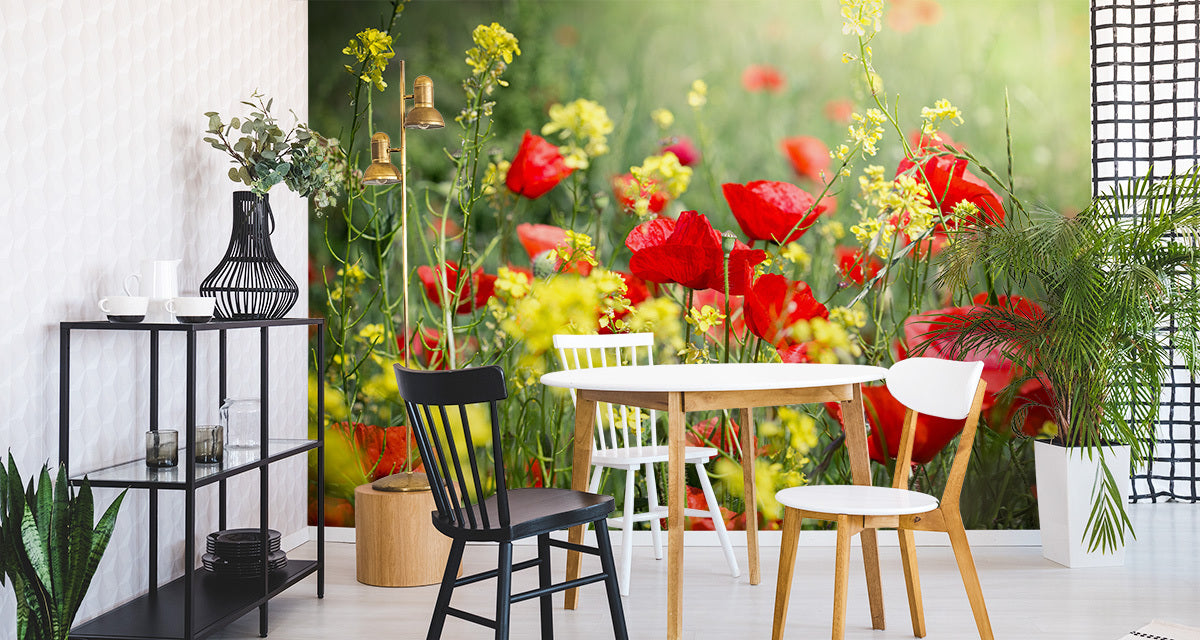 Fototapet Poppies Meadow