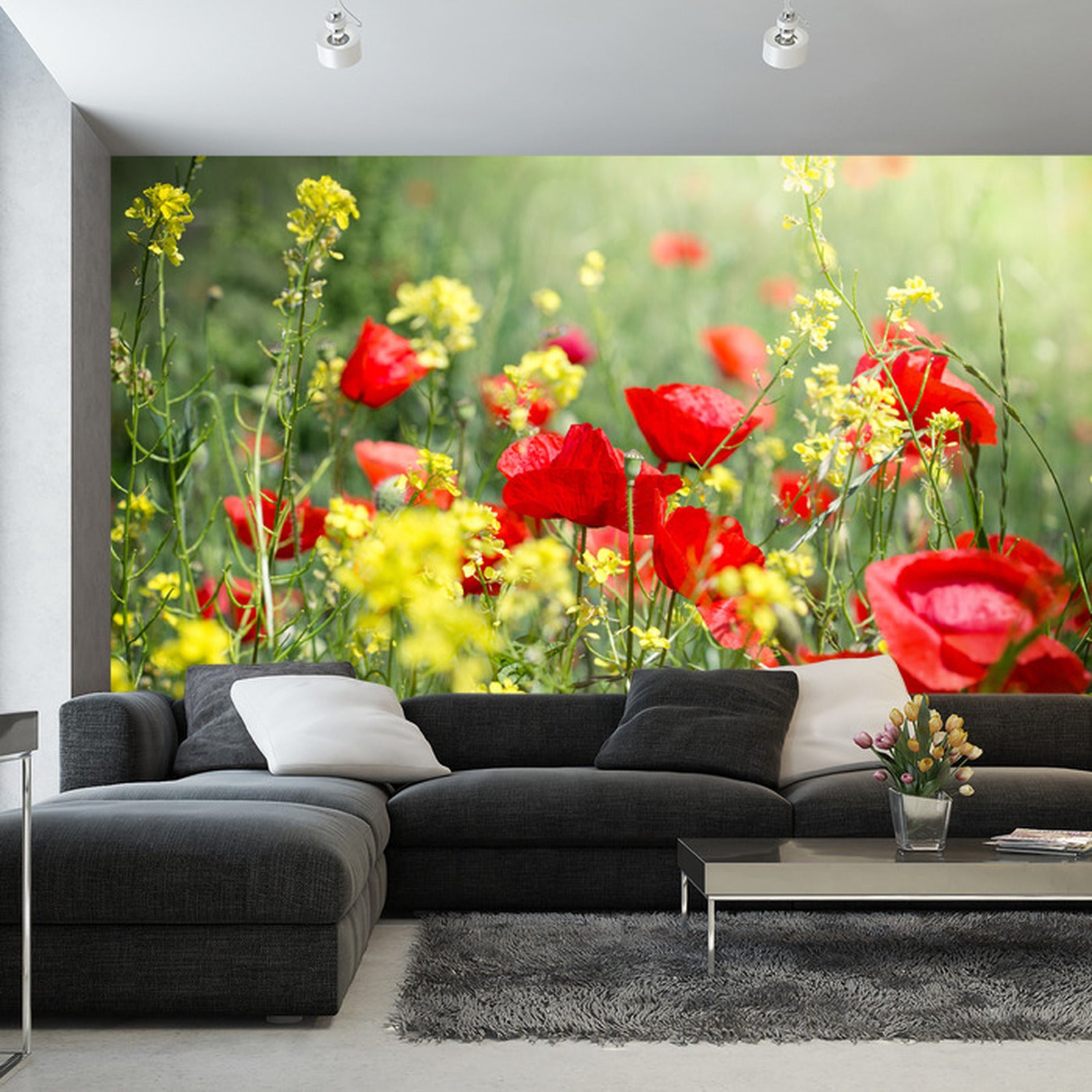 Fototapet Poppies Meadow