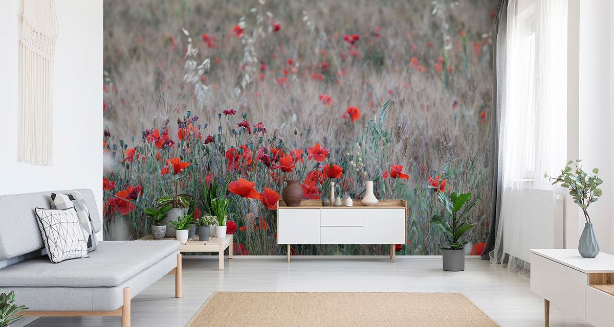 Fototapet Valmuefelt