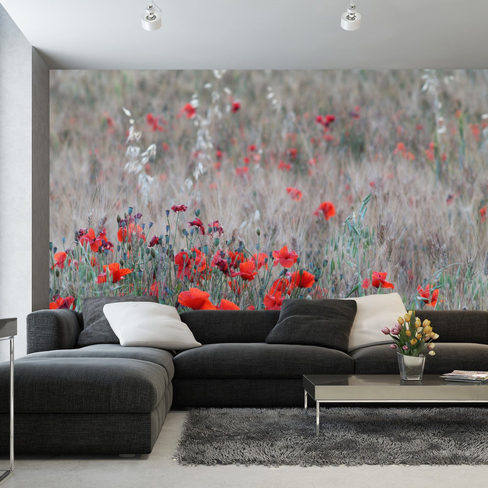 Fototapet Valmuefelt