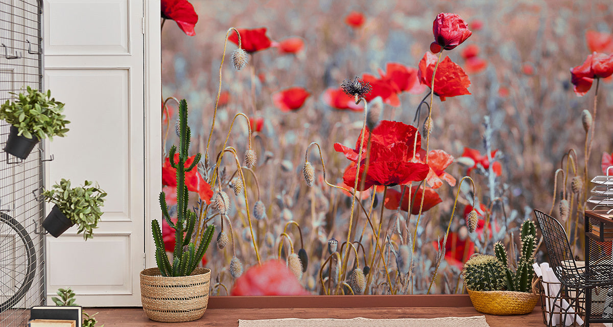 Fototapet Poppies Meadow Vintage