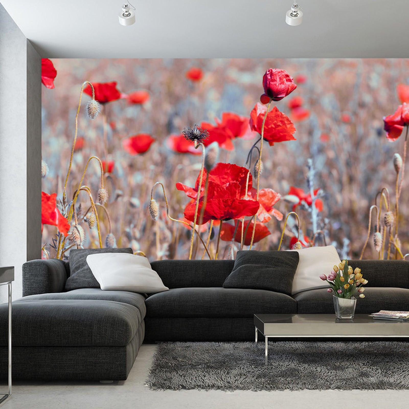 Fototapet Poppies Meadow Vintage