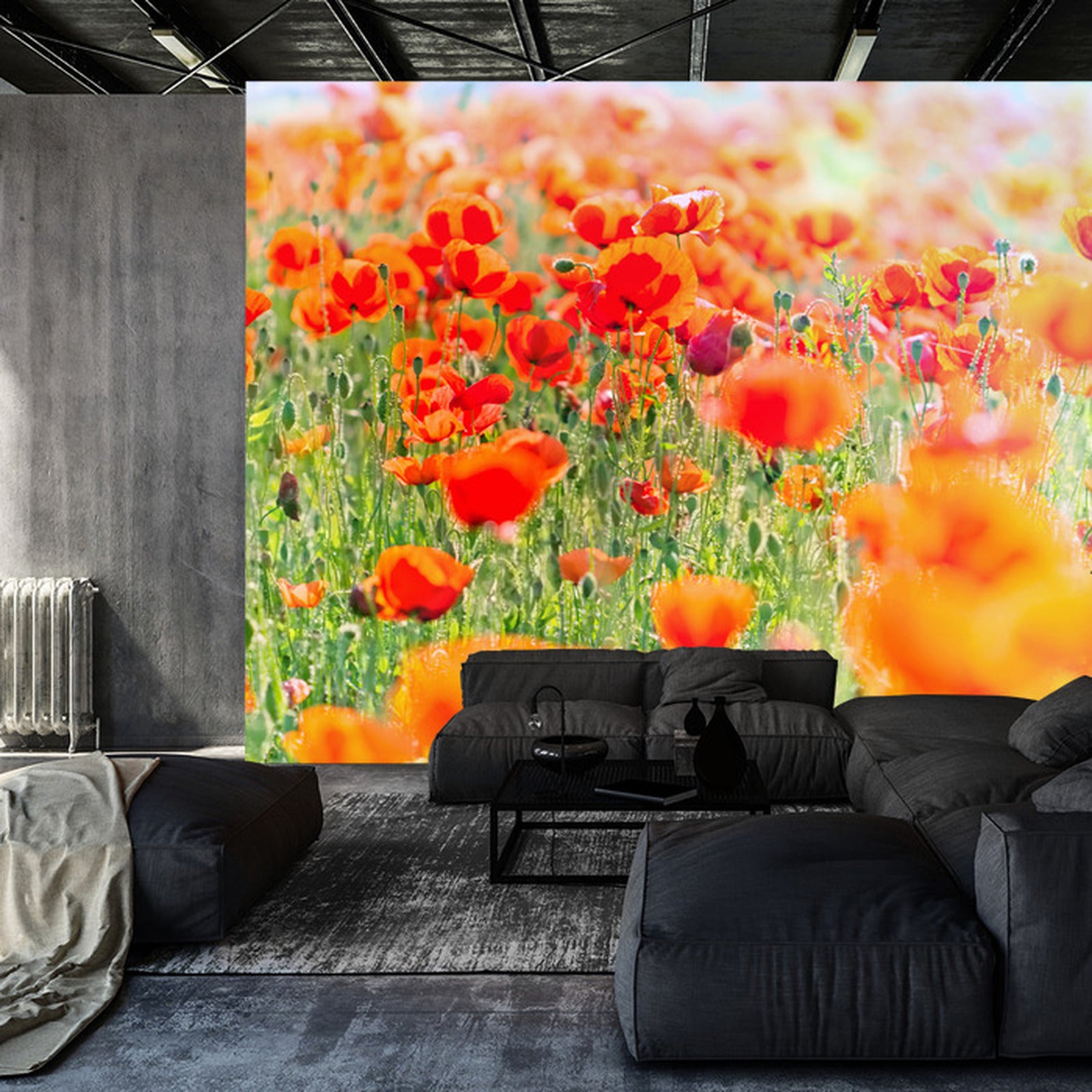 Fototapet Felt Med Røde Valmuer