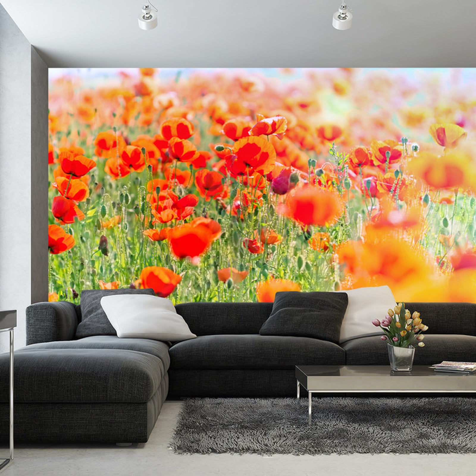 Fototapet Felt Med Røde Valmuer