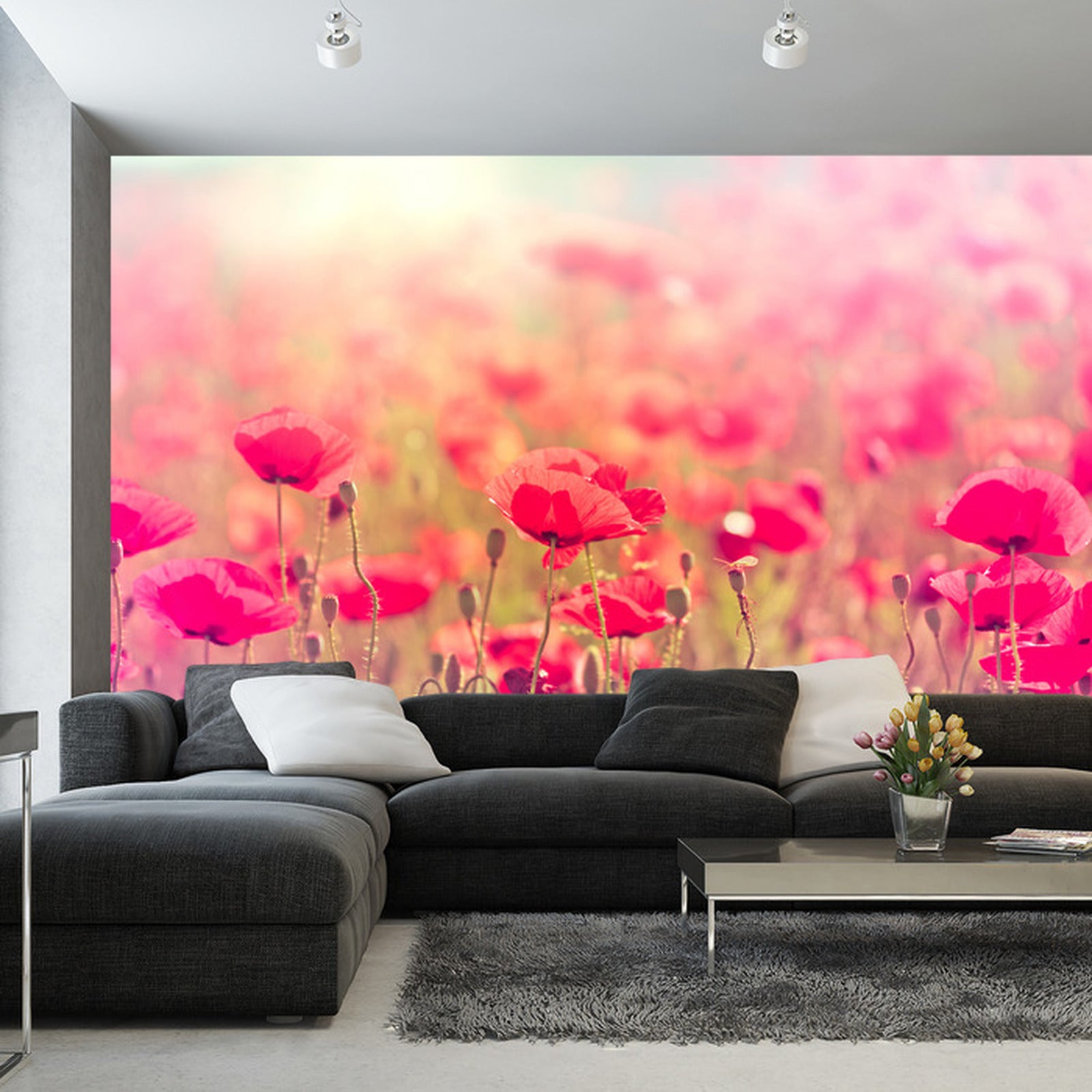 Fototapet Vill Valmuer