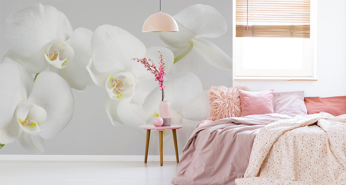 Fototapet Vakker Hvitkål