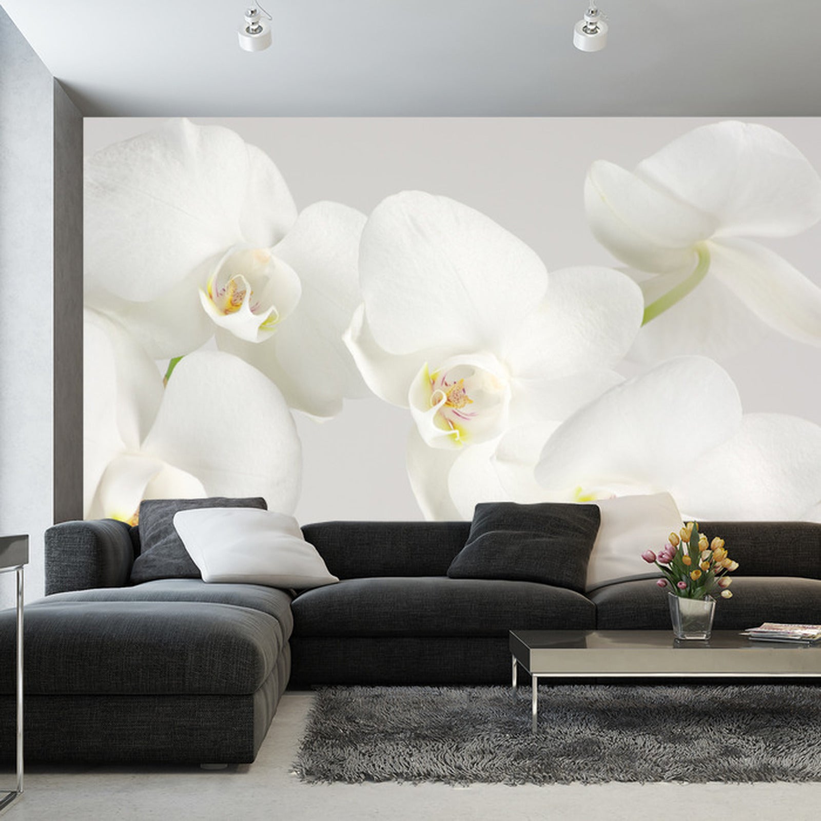 Fototapet Vakker Hvitkål