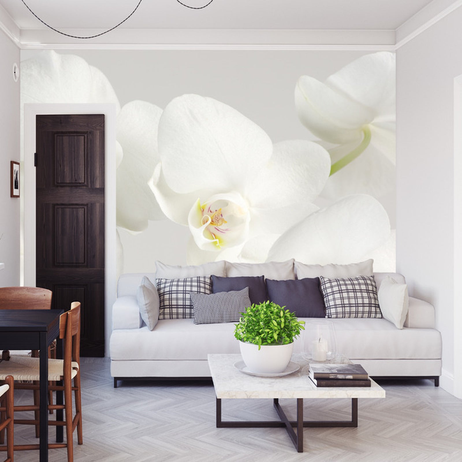 Fototapet Vakker Hvitkål