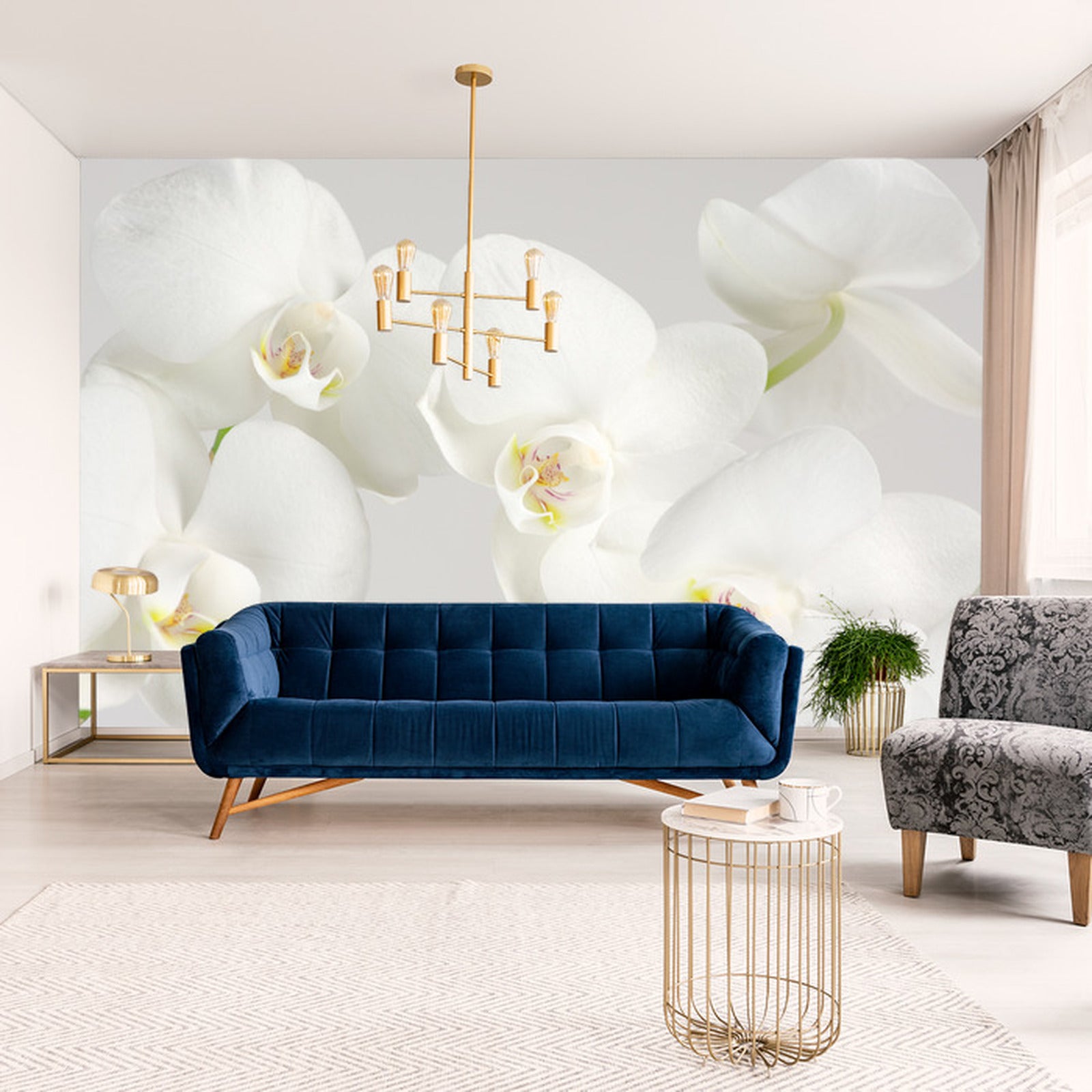 Fototapet Vakker Hvitkål